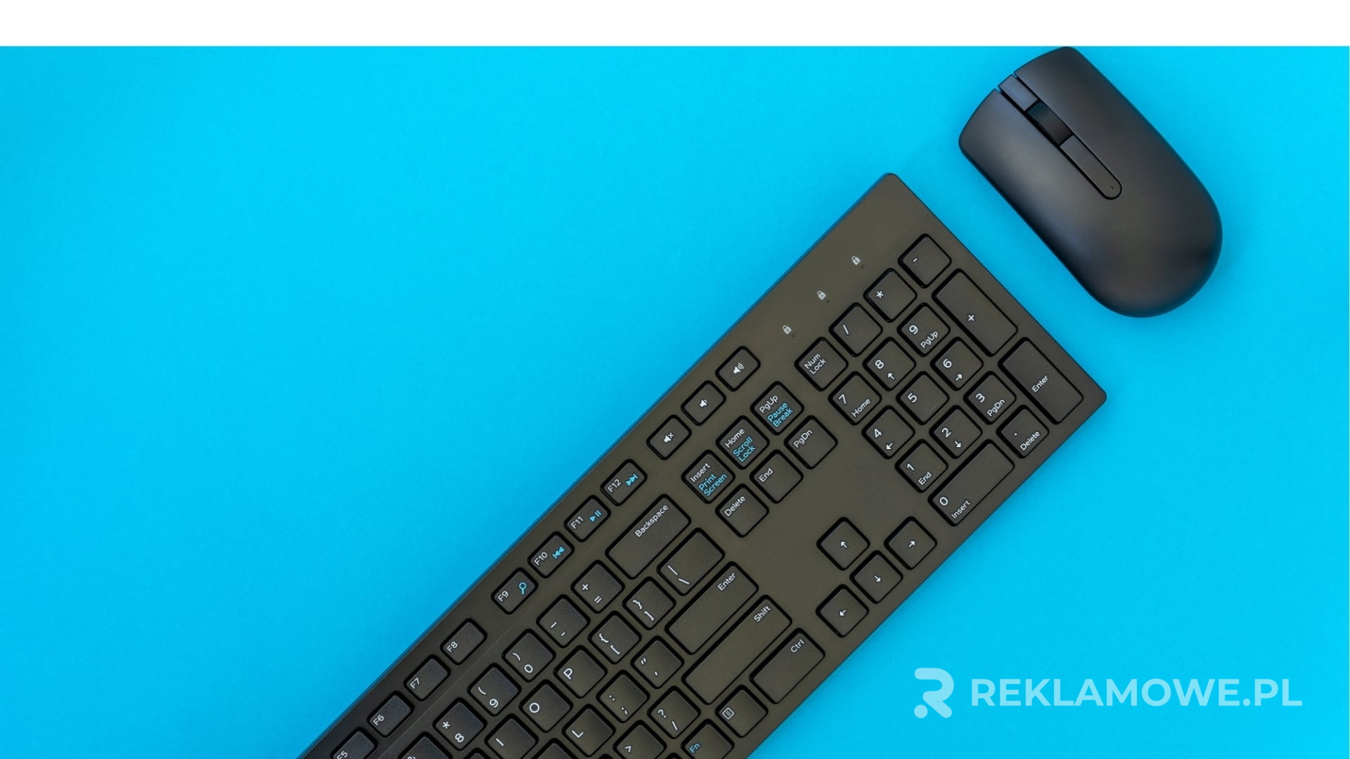 Personalizacja myszek komputerowych na potrzeby reklamy